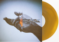 Gregory Alan Isakov Gregory Alan Isakov With The Colorado Symphony [Dark Amber Vinyl]