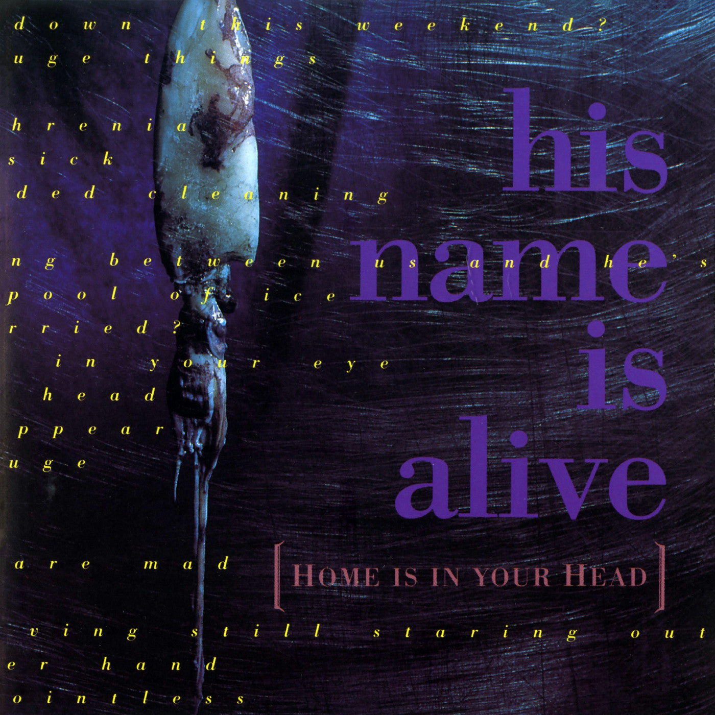 His Name Is Alive Home Is In Your Head