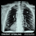 IDLES Caught Stealing (Original Soundtrack)
