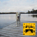 Jaguar Sun Daisy (Black And Yellow Swirl Vinyl)