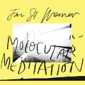 Jan St. Werner Molocular Meditation