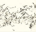 John Zorn There Is No More Firmament