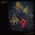 Julia Holter Aviary