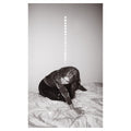Julia Holter Materia