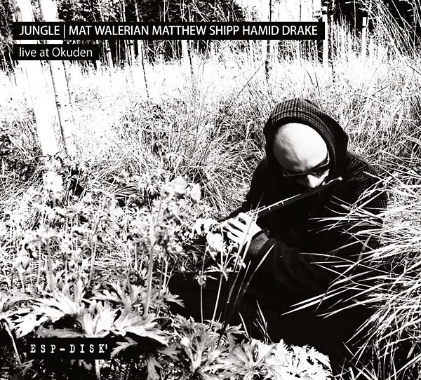 JUNGLE: MAT WALERIAN/MATTHEW SHIPP/HAMID DRAKE Live at Okuden