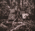 Kamasi Washington Harmony of Difference [Digipak] *