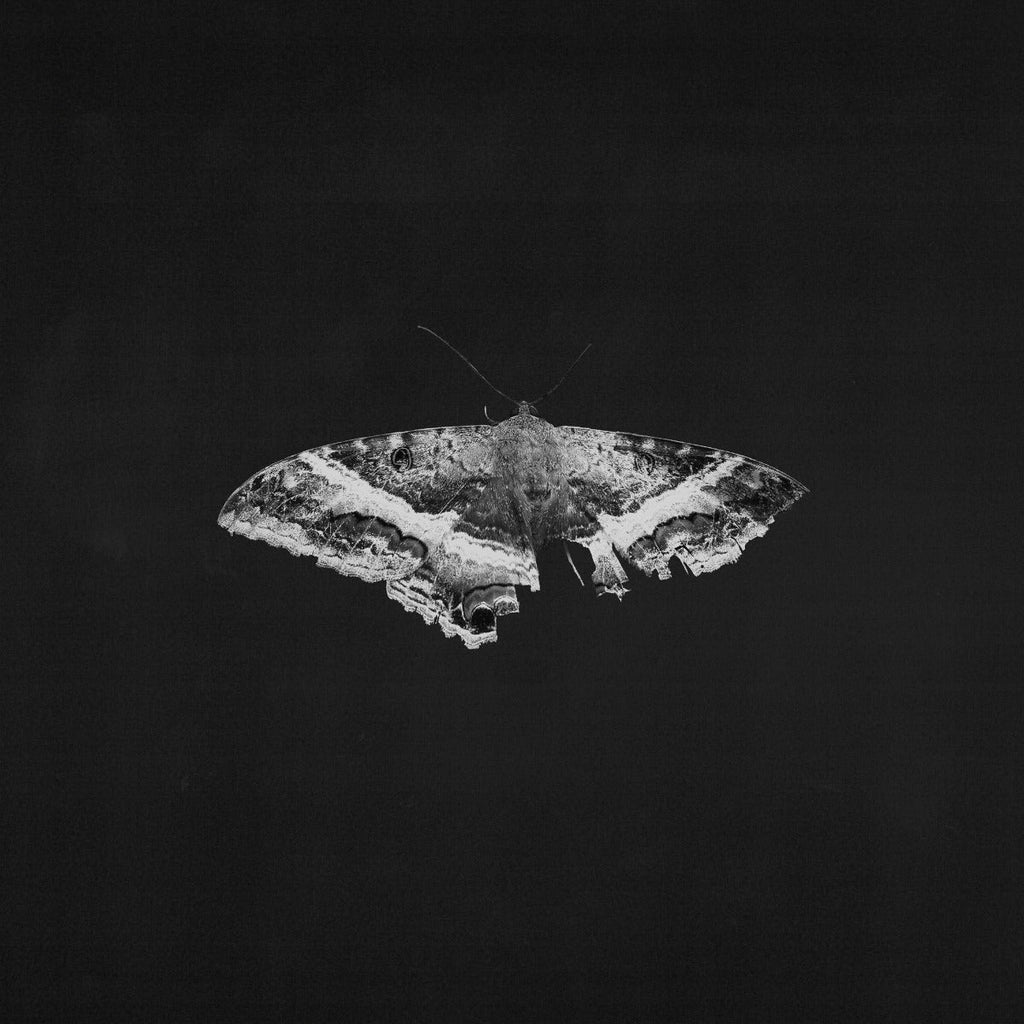 Kendrick Lamar To Pimp A Butterfly (10 Year Anniversary Edition) - Alternate Artwork (Black marble Vinyl) [2 LP]