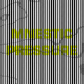 Lee Gamble Mnestic Pressure
