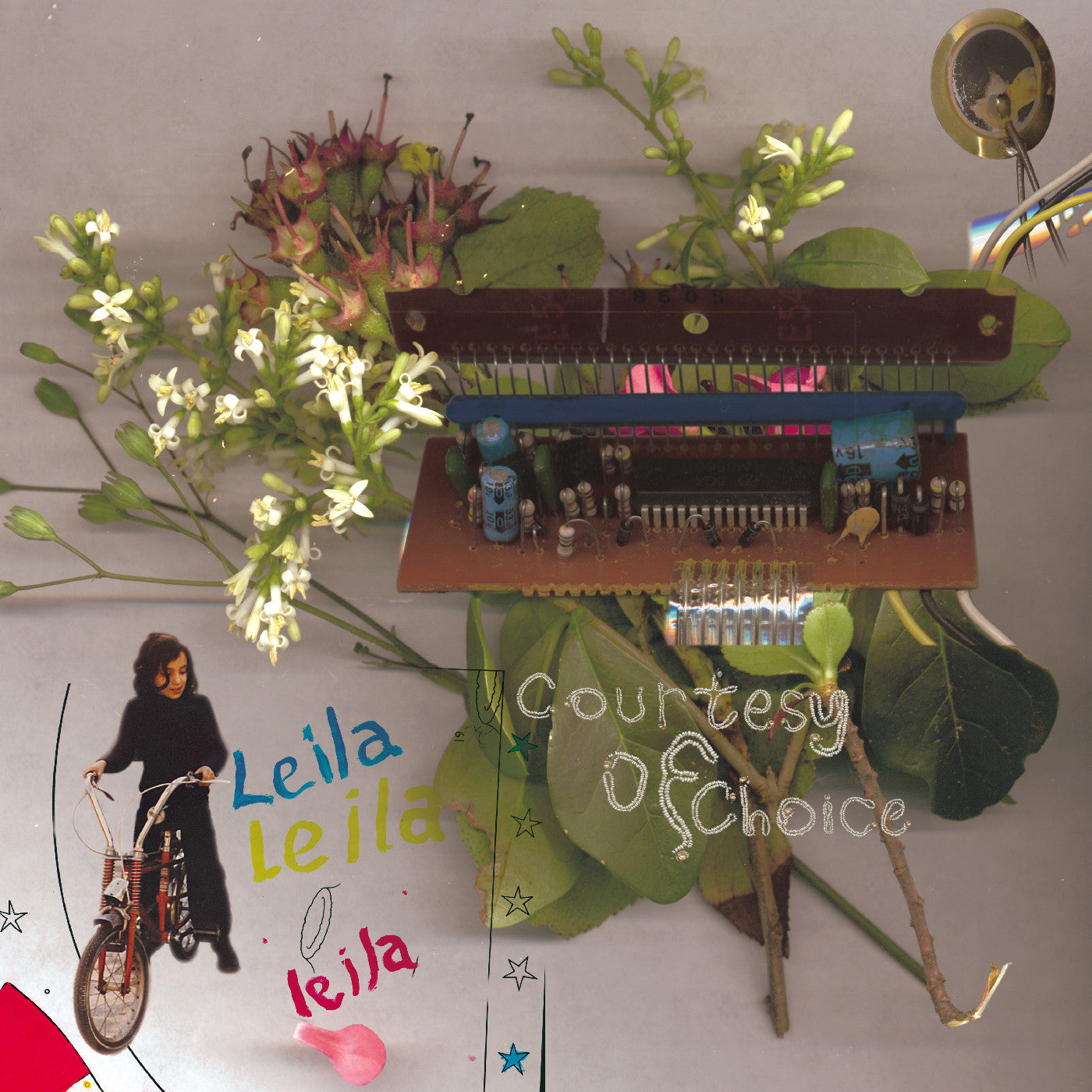 Leila Courtesy Of Choice ۲۵... Asides And Besides 25Th Anniversary