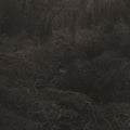 Lesley Mok Transient
