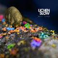 Lichen Slow Rest Lurks