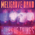 Meligrove Band Bones of Things