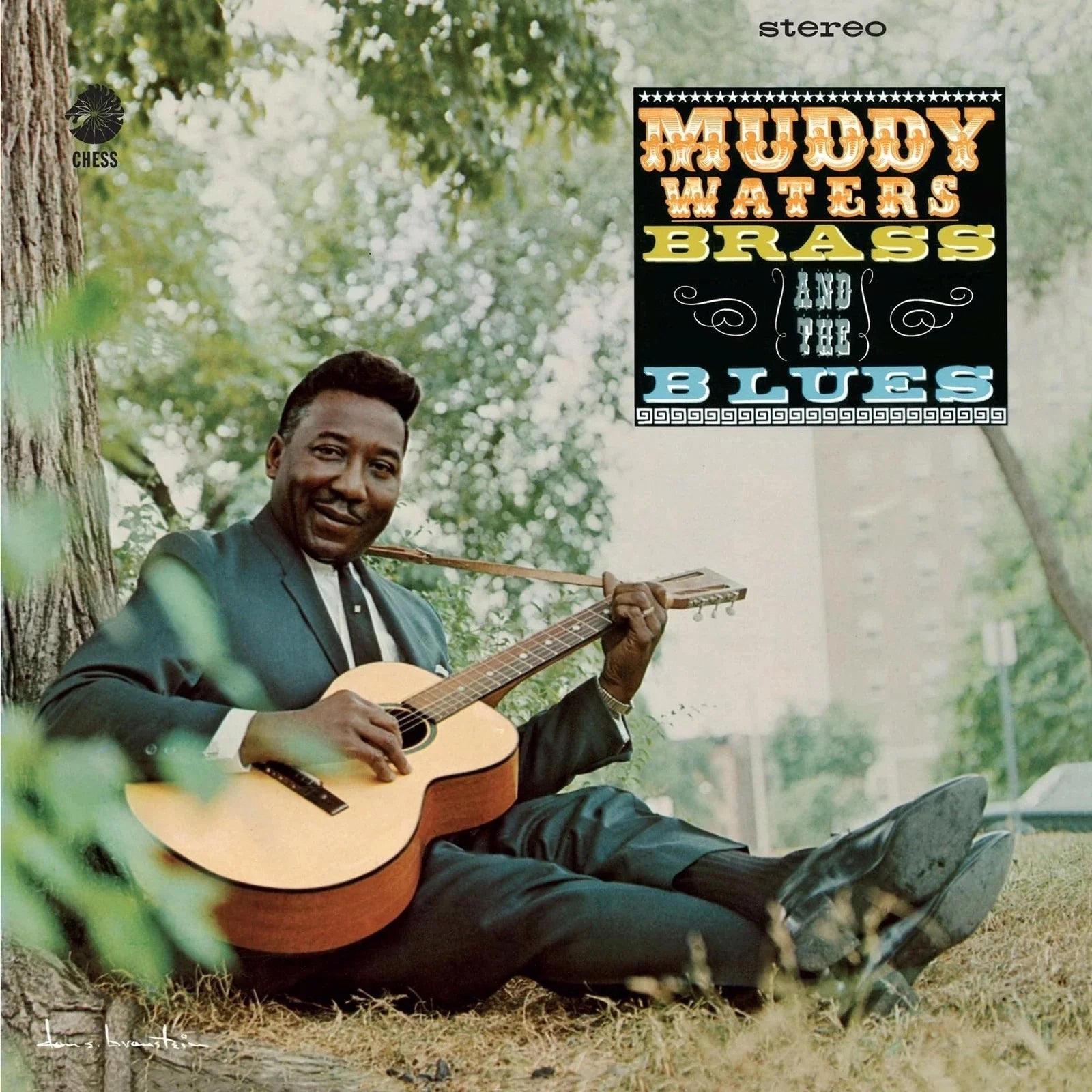 Muddy Waters Muddy, Brass And The Blues (Chess Acoustic Sounds Series) [180G LP]