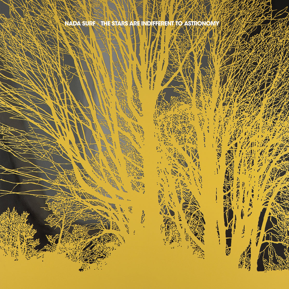 Nada Surf The Stars Are Indifferent To Astronomy