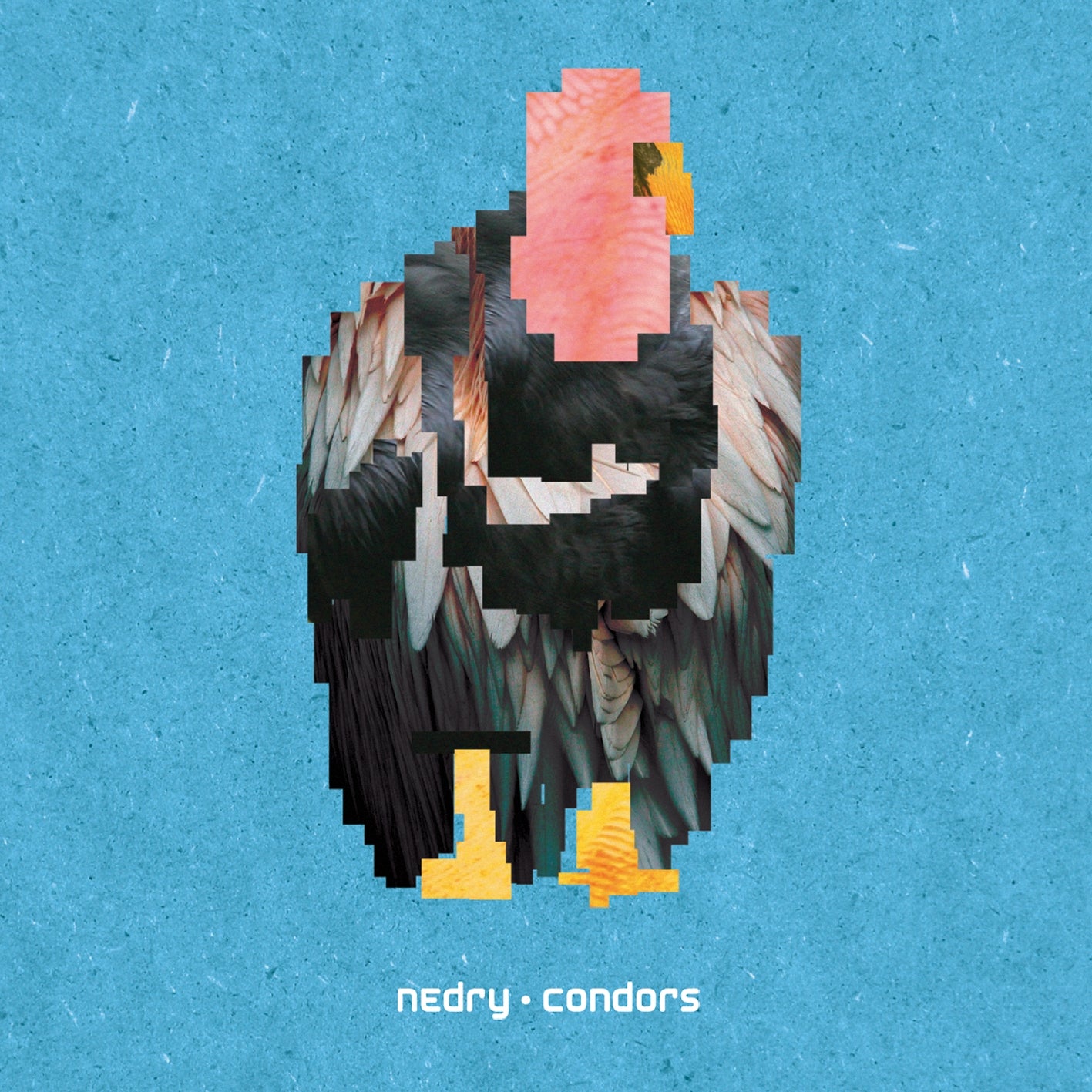 Nedry Condors