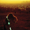 Neon Indian Era Extrana