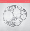 NIELS LYHNE LOKKEGAARD & QUATUOR BOZZINI Colliding Bubbles