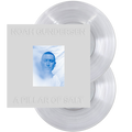 Noah Gundersen A Pillar of Salt (Limited Edition, Transparent Clear Vinyl) (2 Lp's)