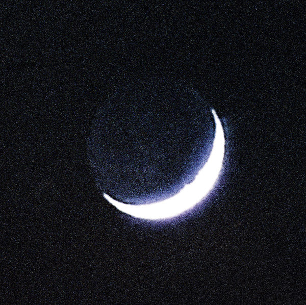 OISEAUX-TEMPETE Tarab