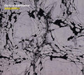 OPTICAL SUBSTANCE Adaptation