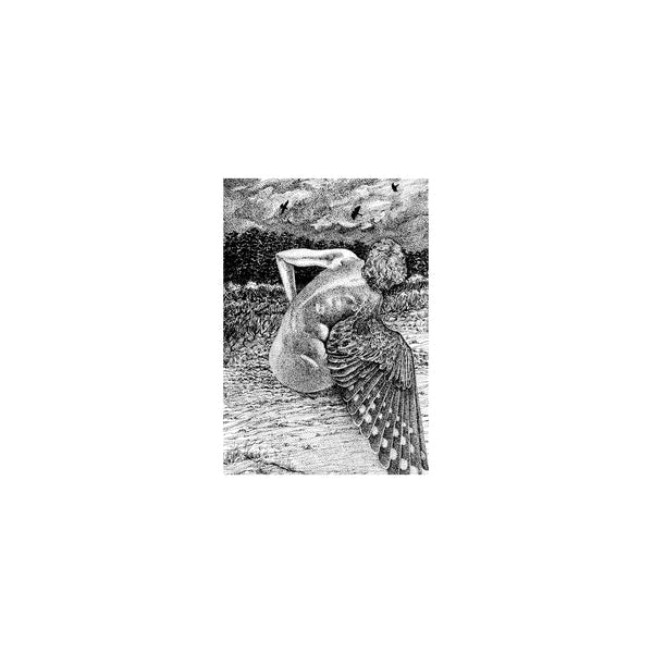 Patrick Lysaght For The Birds [LP]