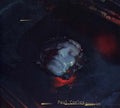 PAUL CORLEY Disquiet