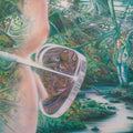 PAUL MARCANO & LIGHTDREAMS 10,001 Dreams
