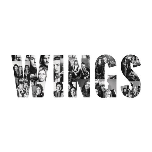 Paul Mccartney And Wings Wings [Deluxe 180G 3LP]