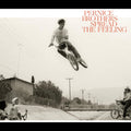 Pernice Brothers Spread The Feeling