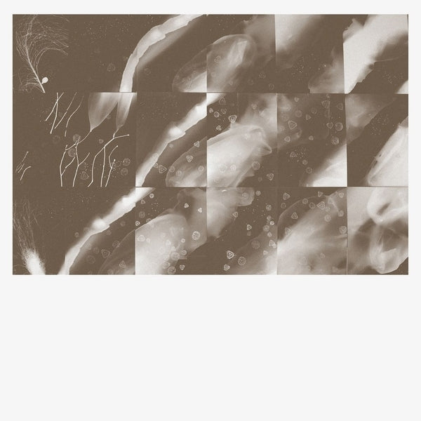 PETER KNIGHT For A Moment The Sky Knew My Name [CD]