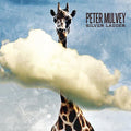 Peter Mulvey Silver Ladder