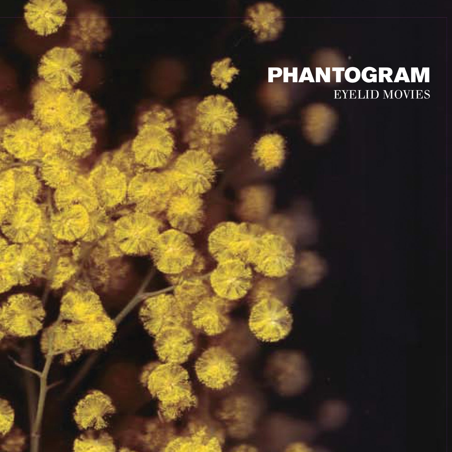 Phantogram Eyelid Movies