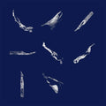 PIERCE WARNECKE Memory Fragments