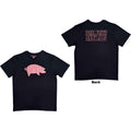 Pink Floyd AWBDG Blue