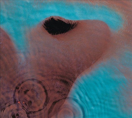 Pink Floyd Meddle (Remastered)