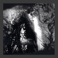 PISETZKY Tears Of A Rough Machine
