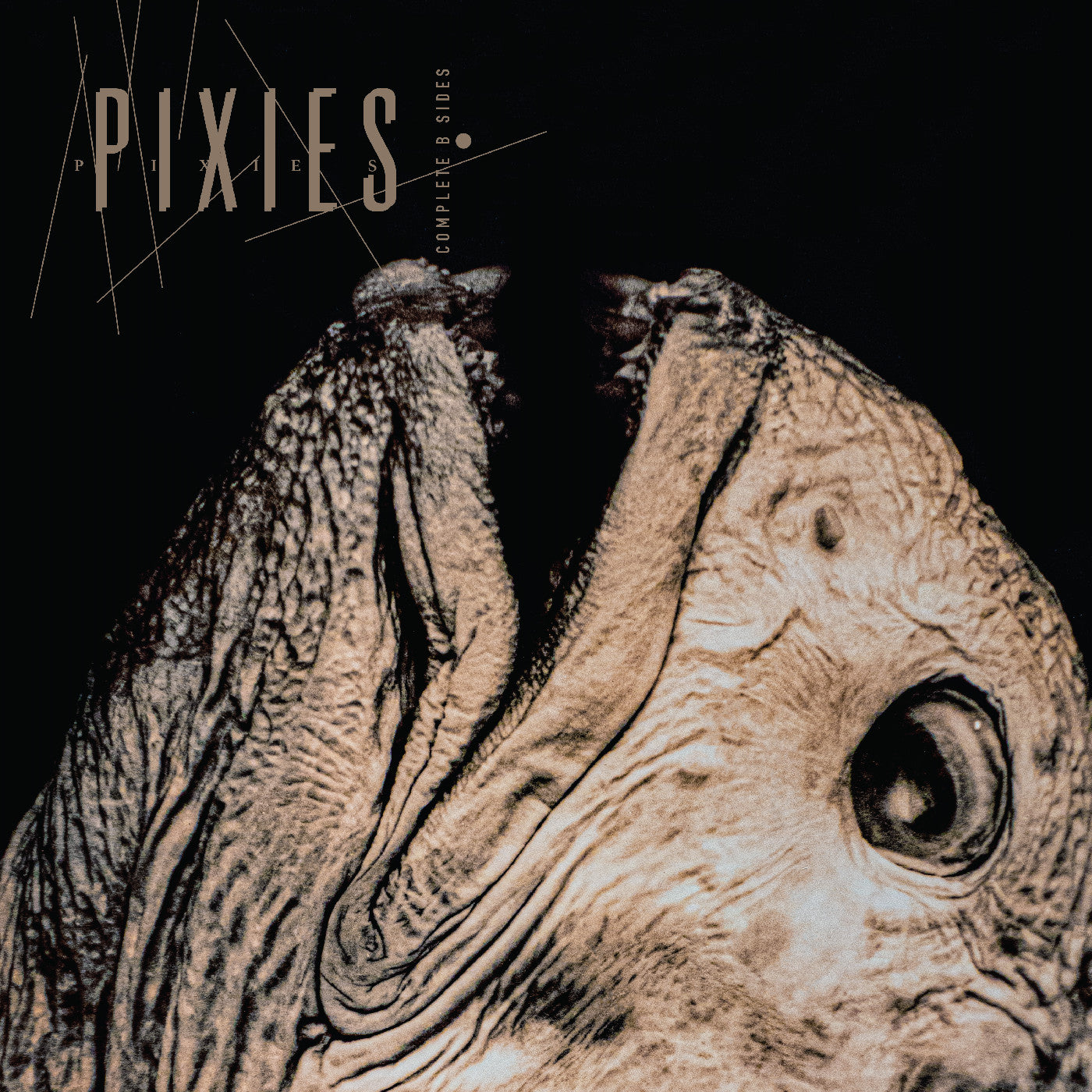 Pixies Complete B Sides: 1988-97