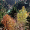 POLE Wald