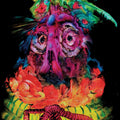 Quest For Fire Lights From Paradise
