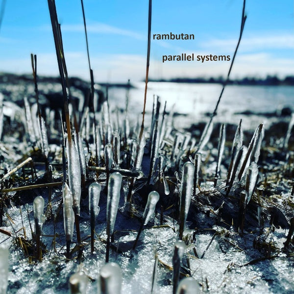 RAMBUTAN Parallel Systems