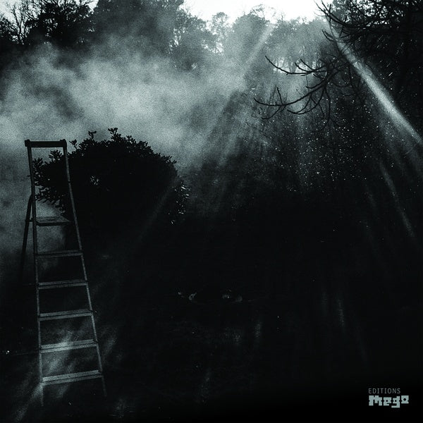 REINHOLD FRIEDL & ERYCK ABECASSIS Animal Electrique