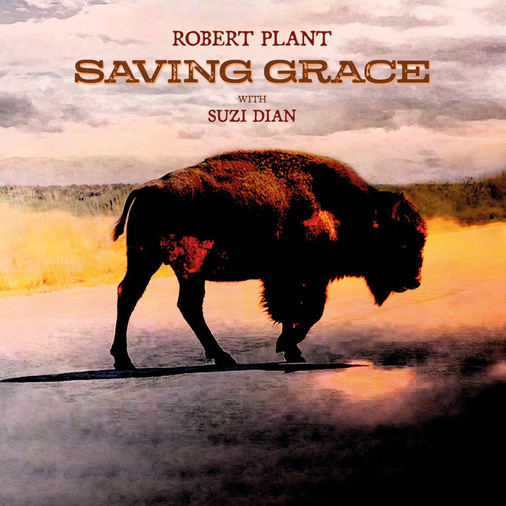 Robert Plant Saving Grace (140G Black Vinyl)