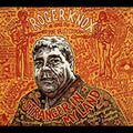 Roger & The Pine Valley Cosmonauts Knox Stranger In My Land