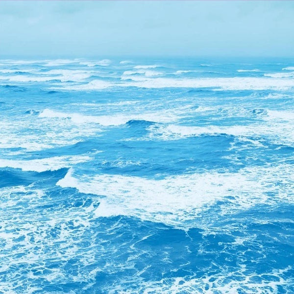RYO FUKUI A Letter from Slowboat