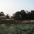 Sarathy Korwar Kalak (Indie Exclusive Dark Green Vinyl)