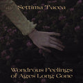 SETTIMA TACCA Wondrous Feelings of Ages Long Gone