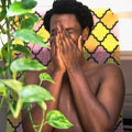 Shamir Hope (Deluxe Reissue) (DELUXE EDITION)