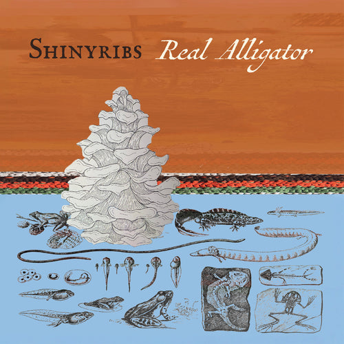 Shinyribs Real Alligator