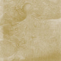 Siavash Amini Eidolon