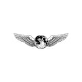 Sky Valley Mistress Luna Mausoleum (Moon Dust Frosted Transparent White Vinyl)